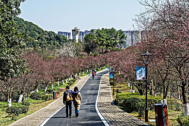 按摩师揉我奶头和花蒂:极速按摩师创新融合驾驶与触控,体验指尖赛道双重挑战-2