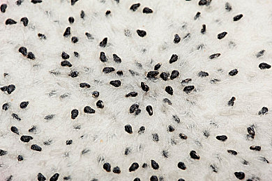 欧洲一区交：极限竞速地平线5全新DLC欧陆征途上线，征服纽北与阿尔卑斯山道-3