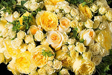 停停六综合：极速静界，多维谋略，赛道上的头脑风暴-3