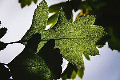 黄色先生：经典出租车游戏魅力解析，重温街机竞速黄金时代