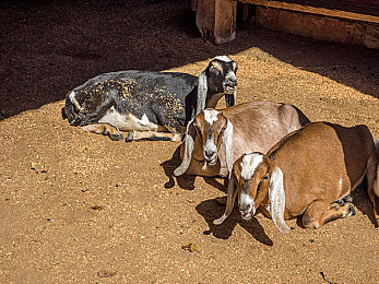 7月全景沟厕的:极限越野新图挑战,征服峡谷泥沼与致命弯道-1