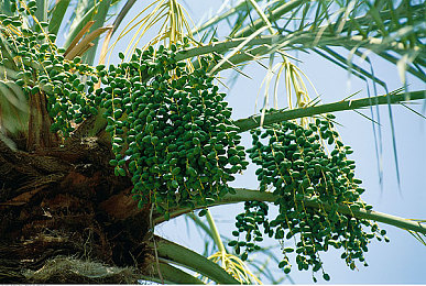 国精产品一区二区三区区别在哪:国民均衡精英性能产赛极致,三大改装流派全解析-2