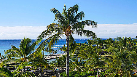 huola福利导航：墨西哥无界赛道，自由驰骋的视觉盛宴-1