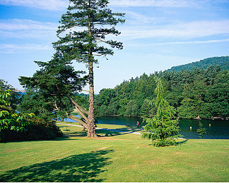 扑克差差：当策略卡牌遇上极速狂飙，体验心跳加速的赛道博弈-2
