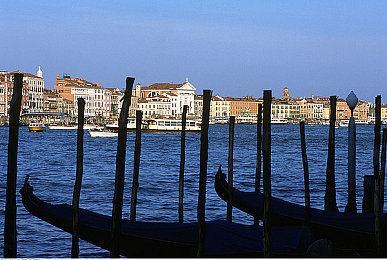 没穿内衣的女人软件：霓虹幻影中的数字义士，裸装电路与极速入侵-2