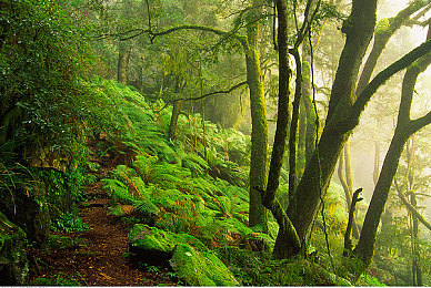 糟老头至尊版2.5.3正式版更新内容：像素驾驶新纪元，经典赛道与改装系统迎来重大革新-3