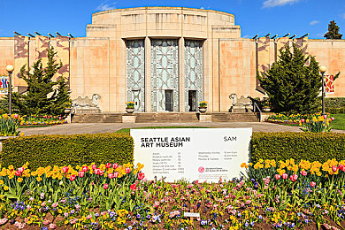 3.3免费OPPO版破解大全：都市竞速新作登场，沉浸驾驶体验与进阶攻略全解析-2