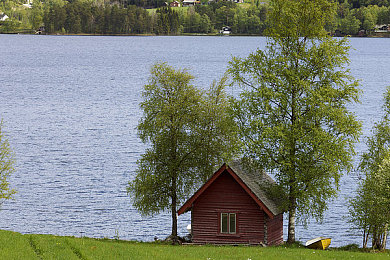 草莓视频战长统计战：数据赛道狂飙，决胜流量竞速新纪元