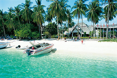 男人和女人的交配软件：极速同心，双人共驭，默契竞速新纪元-2