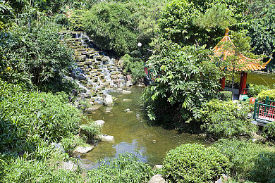 亚洲一区二区中文：极速穿梭，霓虹与山雾间的东方竞速诗篇-3