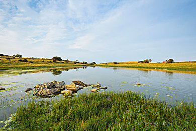 三上悠亚最新共演作品将发布：虚拟偶像竞速新作星轨狂飙，人气角色携专属剧情登场-2