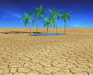 吕知樾：霓虹龙脊，记忆碎片中的极速追缉-2