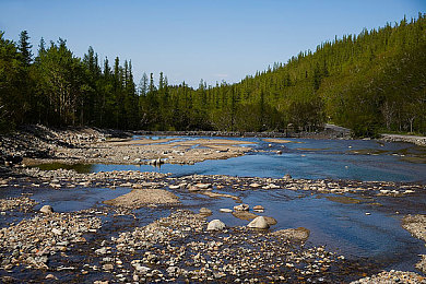 51朝阳区热心群：墨西哥地平线，我们的街头速度家庭