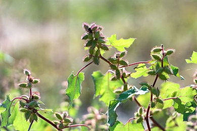 99re6这就是精品：极限竞速地平线5，开放世界竞速的终极体验，沉浸驾驶纯粹乐趣-2