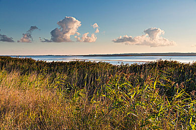 美女差差APP：当赛车颜值也能评分，全新改装手游掀起平衡美学风潮