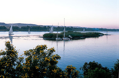 未成年人禁止入内APP：暗夜狂飙，成人赛车世界的硬核生存法则-2