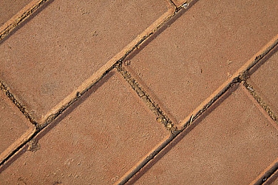 3.0.3免费oppo版破解软件大全：极速狂飙新攻略，合法称霸赛道，安全畅玩竞速游戏