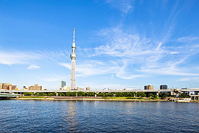 罗宾给乔巴做青春期治疗排毒：极速净化心灵，航海王角色开启竞速治疗新篇章