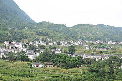 黄色软件下载污污：霓虹夜幕下的叛逆涂鸦与街头极速传说