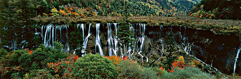 51八卦网：揭秘都市车影，驾驶与传闻交织的虚拟头条-2