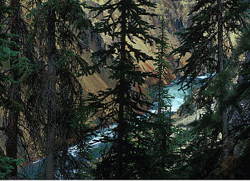 晚上网站你懂：夜幕降临墨西哥，地平线5全新夜间赛事与隐藏挑战深度解析-3