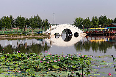 AV伦理网站：数字时代道德抉择，内容审核员模拟游戏引发伦理思考-4