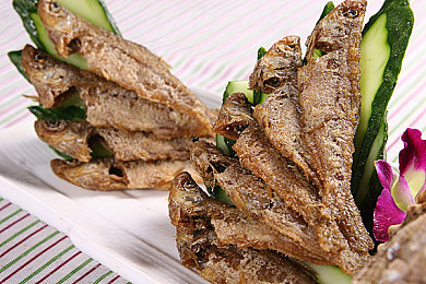 今日看料美好生活：极限竞速地平线5上线，带你驰骋墨西哥开放世界-3