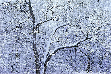 机机对机机免费版下载：未来赛车新纪元，钢铁猛兽赛道激斗免费畅玩-2