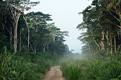 和老婆3p的步骤和方法：竞速游戏新趋势，伴侣协作模式引爆团队赛道热潮