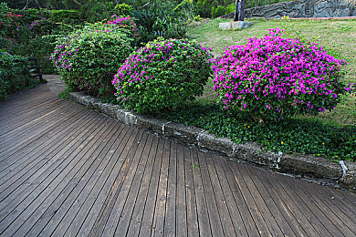 黄色软件op：赛车游戏改装争议再起，合法调校与规则边界的极限博弈-2