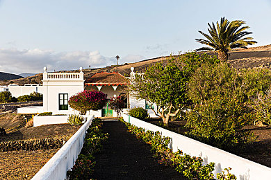 美国双人床上打扑克：公路竞速新玩法，双人协作卡牌策略对决-2