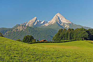 男生女生差差差的软件：极限竞速，性别无关，唯有精准驾驶之道-3