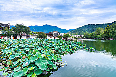 十大禁止app安装：警惕车载系统陷阱，智慧竞速决胜赛博都市