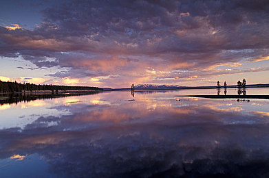 国产视频性：光影交织的赛道，命运在方向盘上流转-2