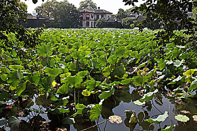 五月天一区二区：竞速游戏新趋势，硬核赛道与开放世界如何重塑驾驶体验-3