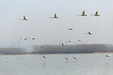 软件黄色3.0：代码狂飙，在虚拟赛道中重写速度的极限-2