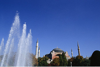 史莱姆大战胡挑：软胶萌物与钢铁巨兽的赛道奇袭对决-2