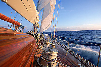 中国熟女毛茸茸：十年经典再解析，极品飞车热力追踪独特改装文化引发玩家共鸣