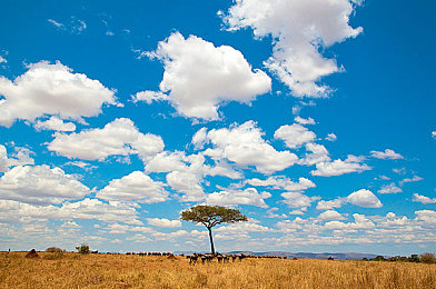 免费a漫禁漫天堂：极速幻想，动漫竞速世界的视觉革命之旅-2