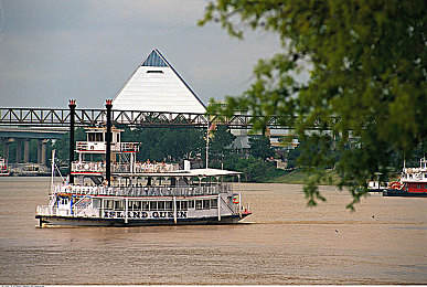 老师的胸好软：校园驾驶模拟温情上线，细腻震动反馈带来沉浸体验