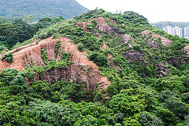 男男游戏：双雄极速羁绊，硬核改装与叙事交融的竞速新作