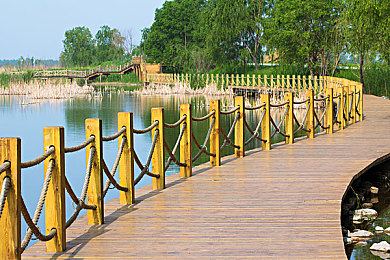 爱妻艺：双人共驭，默契赛道上的情感共鸣之旅-2