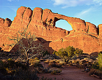 一阵抽搐的动图：当赛车挣脱物理法则，游戏引擎上演荒诞舞蹈-2