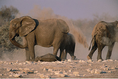 三级产区和二级产区的定义：从零件到整车，掌握《赛车工艺大师》产业链进阶攻略