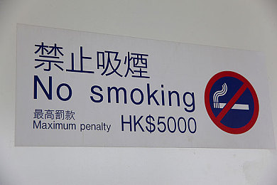 色多多成人网站：霓虹赛道上的视觉革命，色彩能量驱动极限竞速新体验