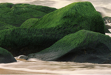 越南一区二区：穿梭古巷与现代迷宫的极限速度哲学-3