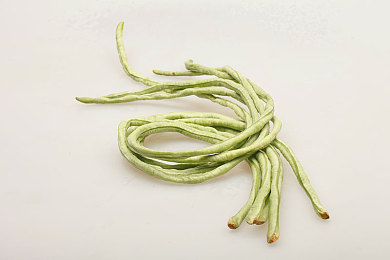 男人与雌性宠物交：深度解析怪物猎人随从系统，揭秘猎人与艾露猫的共生羁绊-2