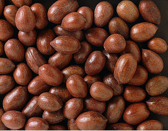 成人火影18：疾风查克拉，涡轮忍者竞速传说-2