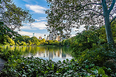 黄色下载oppo：霓虹都市狂飙，道德与速度的隐秘抉择-2