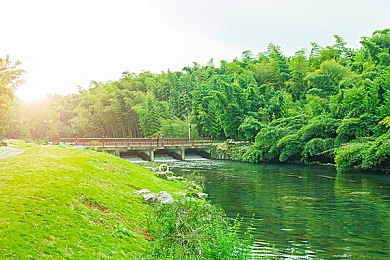 公车上拨开少妇内裤进入青少年号：霓虹轨迹DLC上线，传奇赛车改装秘技与深度玩法全解析